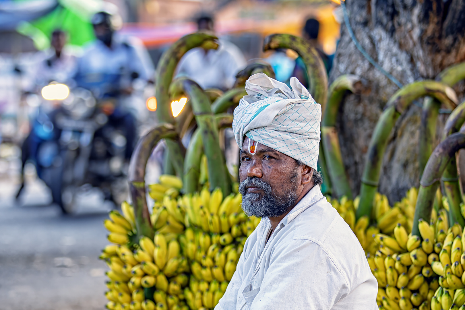 498 | Kaveripattinam 2023